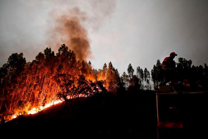Así trabajan los bomberos madrileños en el incendio de Portugal