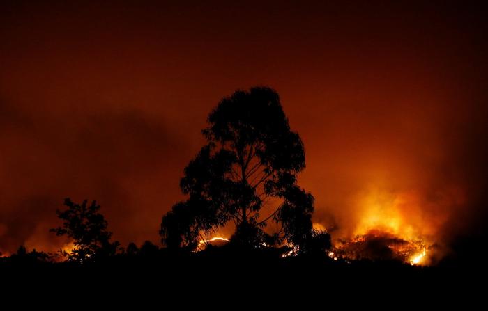 Arde Portugal: las fotos de la destrucción y la batalla contra el fuego