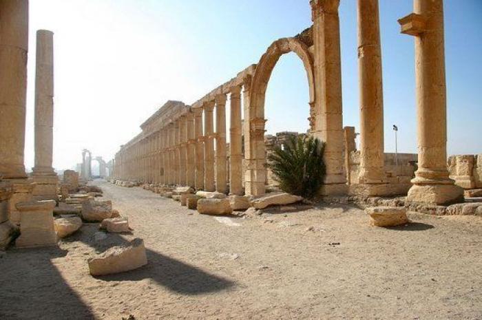 El Ejército sirio irrumpe en Palmira en medio de una ofensiva contra el Daesh