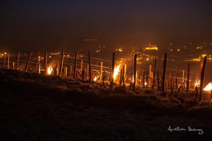 Esta viña francesa se ha calentado con miles de velas para combatir el frío