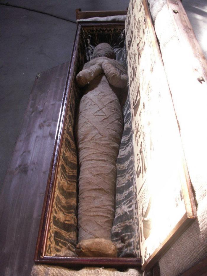 El robo en una vivienda saca a la luz un cadáver momificado
