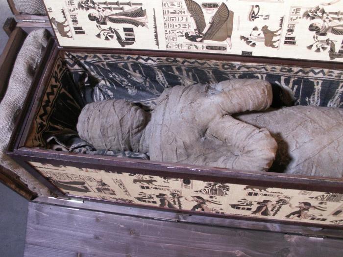 El robo en una vivienda saca a la luz un cadáver momificado