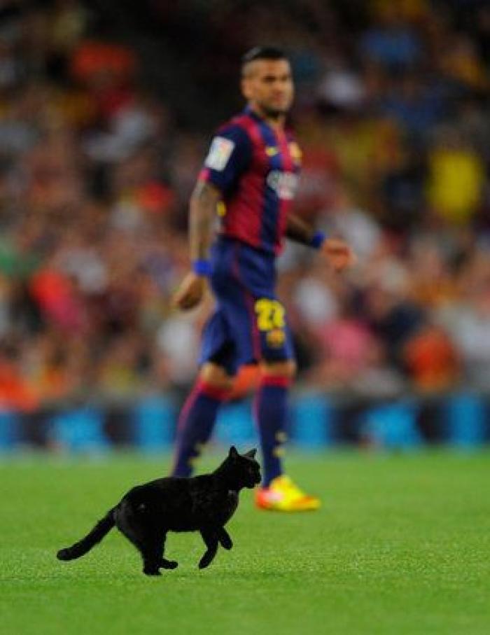 El gato negro que paralizó el Barça-Elche (VÍDEO, FOTOS)