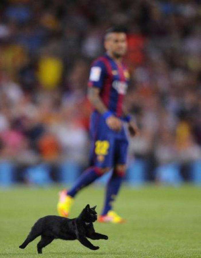 El gato negro que paralizó el Barça-Elche (VÍDEO, FOTOS)
