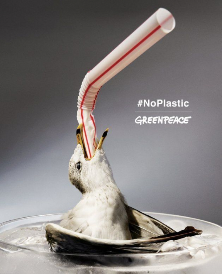 Crece campaña contra el uso de pajitas de plástico - Funiber Blogs - FUNIBER
