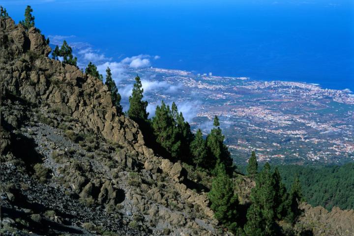 Incendio En Tenerife El Fuego Se Atrinchera En Un Punto Crítico Y Es Ya El Peor De 2023 3352