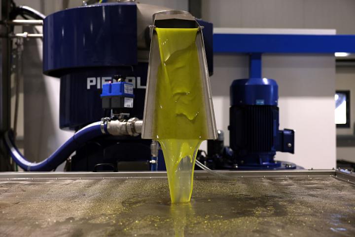 De la aceitera rellenable a la monodosis de plástico: el gran dislate del  aceite de oliva