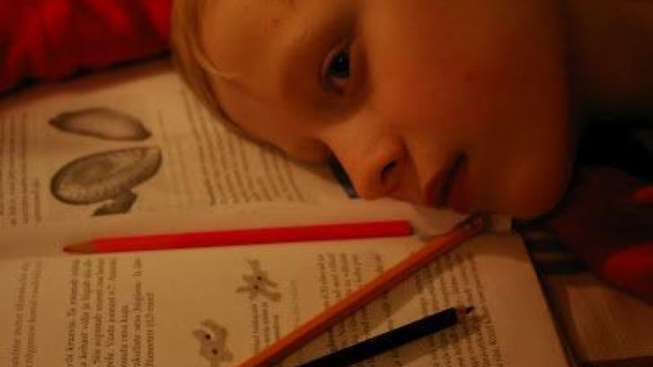 Cómo conseguir que tus hijos hagan los deberes, sin dolores de cabeza