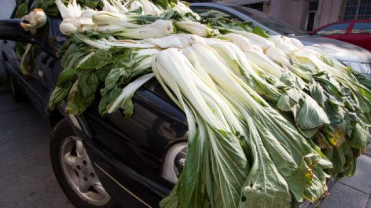 Ropa, colchas, verdura, pescado: 15 formas de poner las cosas a secar en China (FOTOS)