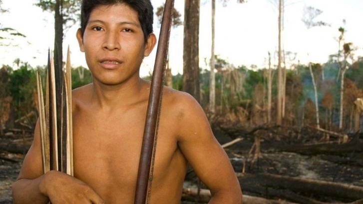 Decenas de diputados británicos instan a Brasil a salvar a la 'tribu más amenazada de la tierra' (FOTOS, VÍDEO)