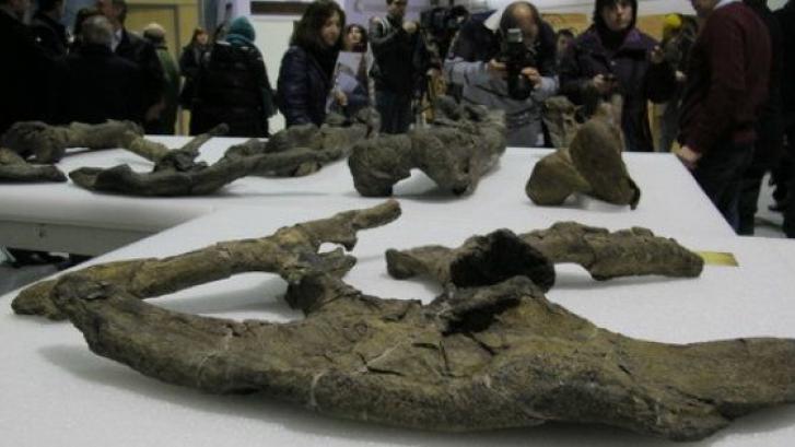 Una mina de dinosaurios entre el carbón de Teruel