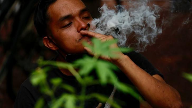 México despenaliza el consumo lúdico y privado de marihuana pero no su comercialización