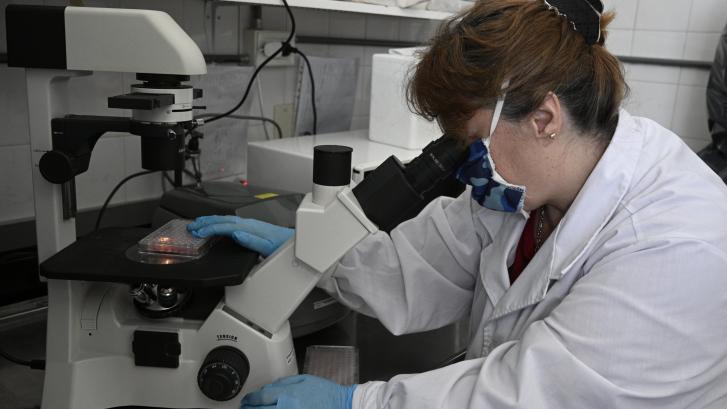 La inteligencia artificial descubre la base de datos más amplia para conocer las proteínas del organismo humano