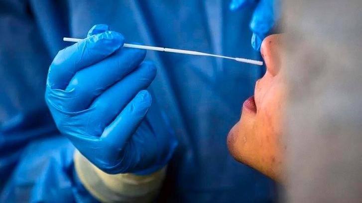 El coronavirus puede entrar en el cerebro a través de la nariz