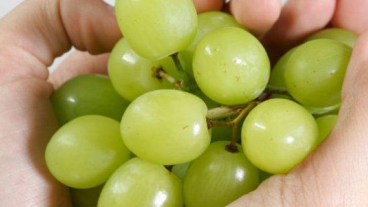 Por qué los niños pequeños no deben comer uvas enteras