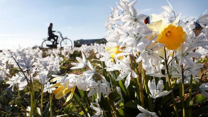 ¡Bienvenida, primavera! Las mejores frases para celebrar el inicio de la estación