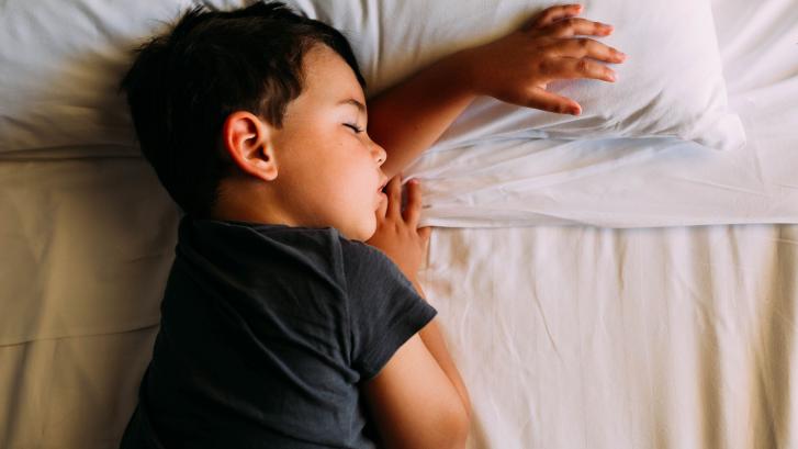 Dormir la siesta está determinado por nuestros genes