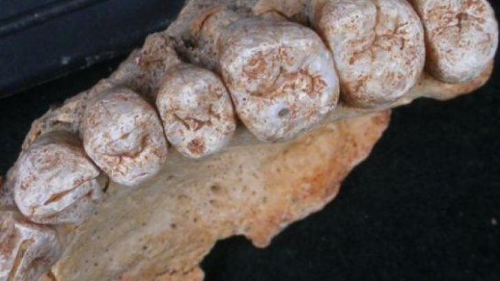 Hallado el fósil de Homo Sapiens más antiguo fuera de África