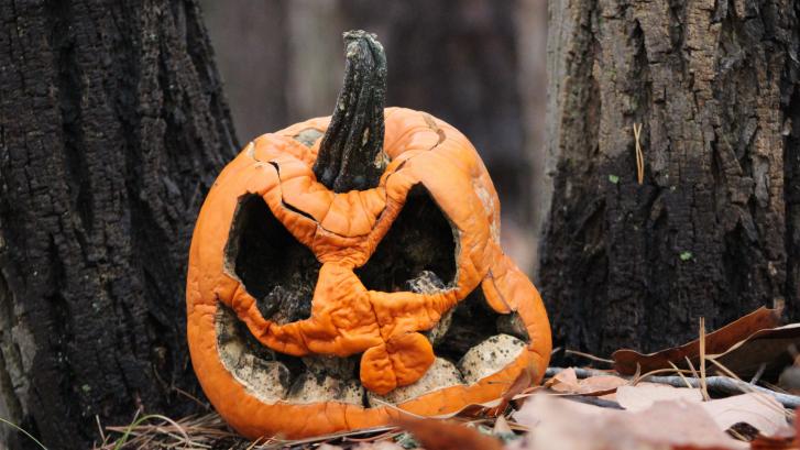 Samaín o cómo recuperar el Halloween autóctono en Galicia