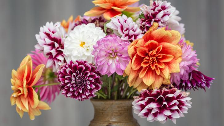 Día de la madre: las mejores floristerías que entregan en casa