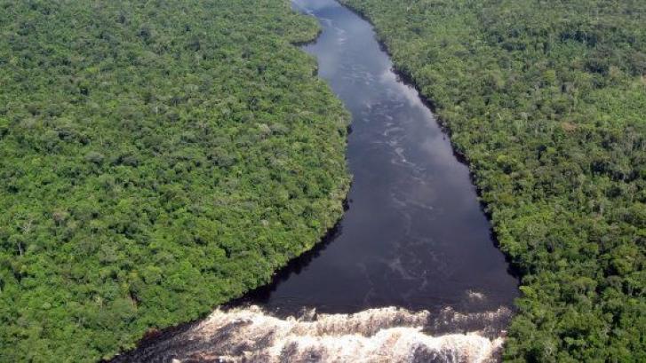 Un vertido de petróleo contamina la selva más grande del mundo