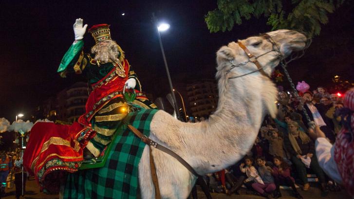 El Gobierno quiere prohibir el uso de animales en las Cabalgatas de Reyes, procesiones, romerías y circos
