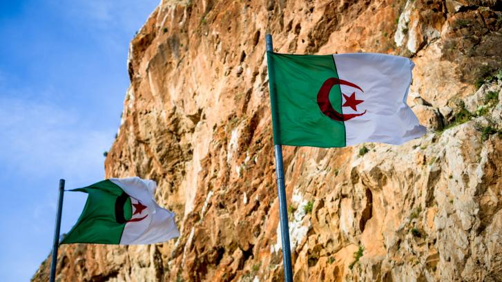 Argelia tilda de 
