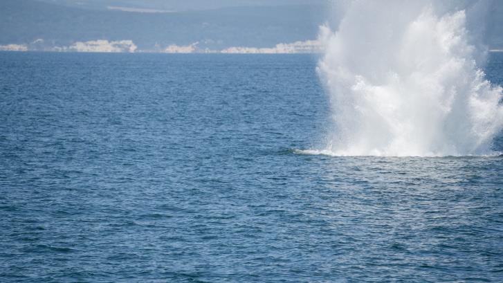 Bulgaria alerta de minas a la deriva en el mar Negro procedentes de Ucrania