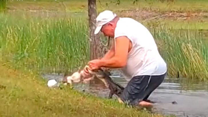 Un hombre lucha contra un cocodrilo para salvar a su perro