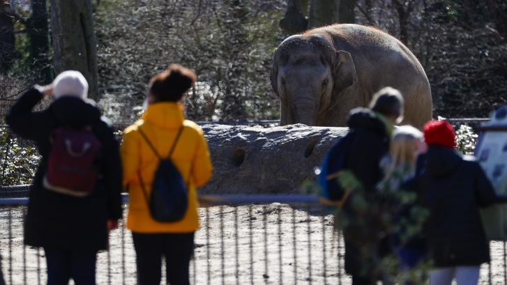 Un padre pone en peligro a su hija para hacerle una foto con un elefante en California