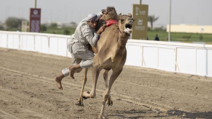 El virus del camello causa estragos en la selección francesa a dos días de la final, estos son sus síntomas