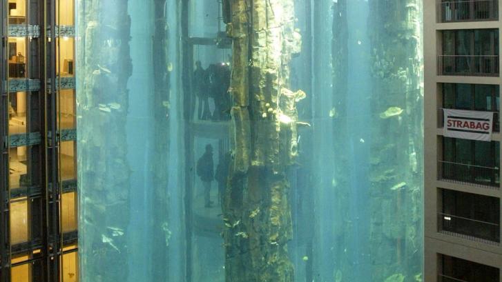 Revienta en Berlín el mayor acuario cilíndrico del mundo vertiendo 1.500 peces tropicales