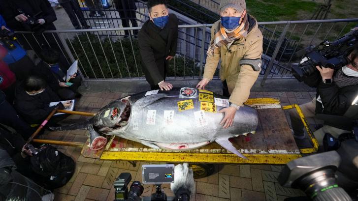 Dos compradores pagan más de 250.000 euros por el primer atún del año en Japón