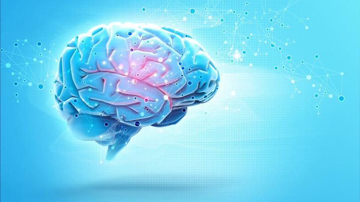 La importancia de la neurociencia en el aprendizaje