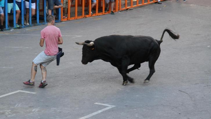La Comunidad Valenciana revisará de urgencia los protocolos en festejos taurinos tras el incremento de muertes este verano