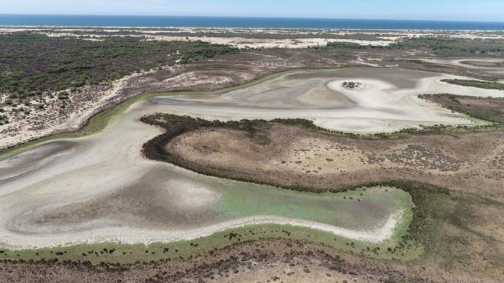 El CSIC alerta de que la laguna permanente más grande de Doñana se ha secado por primera vez desde 1995