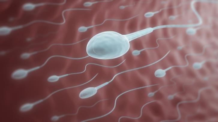 Un anticonceptivo masculino tiene resultados prometedores en ratones