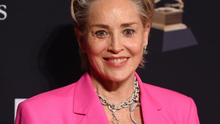 Sharon Stone perdió la custodia por 'Instinto Básico': 