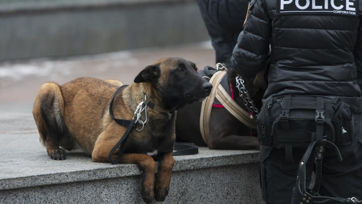 El mensaje de despedida de la Policía Nacional a un perro tras su último día de servicio