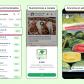 La publicidad llega a WhatsApp: un centro comercial gigante en la palma de tu mano
