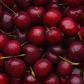 Un frutero destapa qué tres cosas mirar en las cerezas para detectar las buenas a simple vista