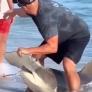 El valiente gesto de un hombre que libera a un tiburón martillo herido
