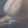 Aparece una extraña ballena mular boreal frente a Groenlandia tras décadas sin ser vista