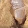 El ingenioso truco de un agricultor con una simple bolsa que está revolucionando el riego