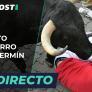 Sigue en directo el quinto encierro de los Sanfermines 2025