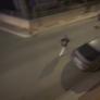 Pánico entre los vecinos de Torre-Pacheco con las 'cacerías de inmigrantes': "Van con machetes y la seguridad llega tarde"