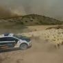 Así ha desalojado la Guardia Civil a más de 400 ovejas ante el incendio de Añorbe (Navarra)