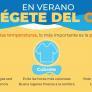 Sanidad pide extremar las precauciones ante el peor día de la ola de calor