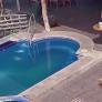 Un león marino se cuela en un hotel para darse un baño en la piscina: "Con permiso, humano"