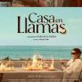 'Casa en llamas' y 'Querer' lideran las nominaciones a los Premios Feroz 2025